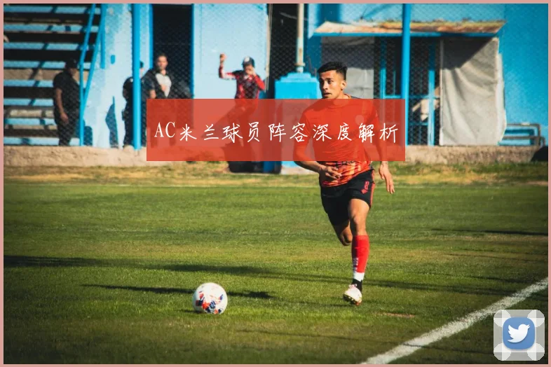 AC米兰球员阵容深度解析