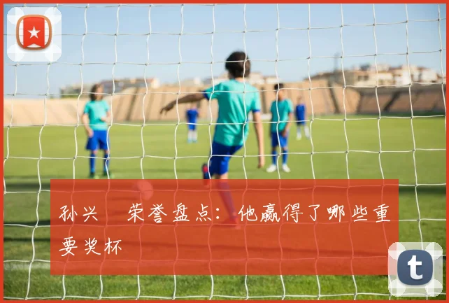 孙兴慜荣誉盘点:他赢得了哪些重要奖杯
