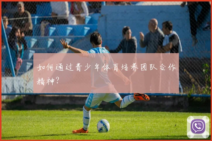 如何通过青少年体育培养团队合作精神?